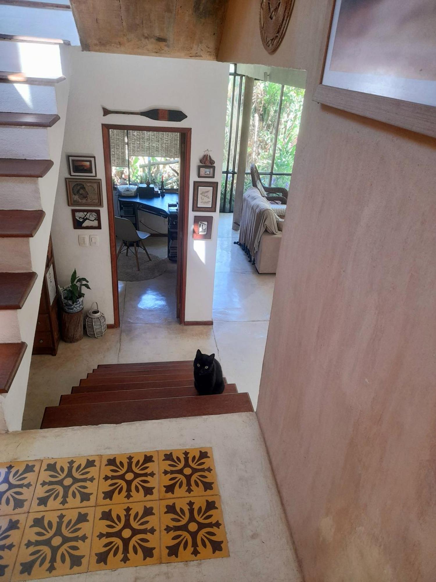 דירות Petrópolis Casa De Vidro מראה חיצוני תמונה