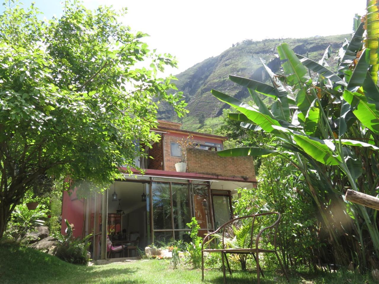דירות Petrópolis Casa De Vidro מראה חיצוני תמונה