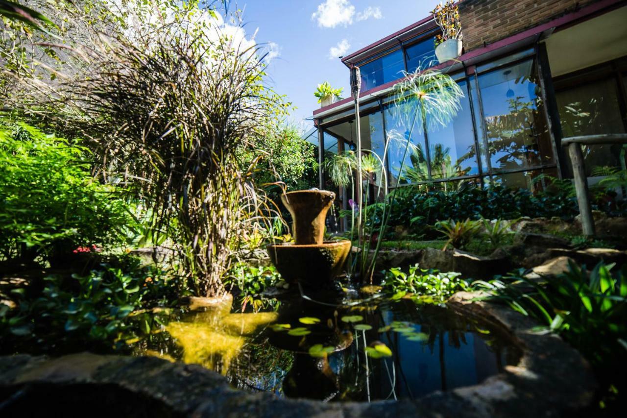 דירות Petrópolis Casa De Vidro מראה חיצוני תמונה
