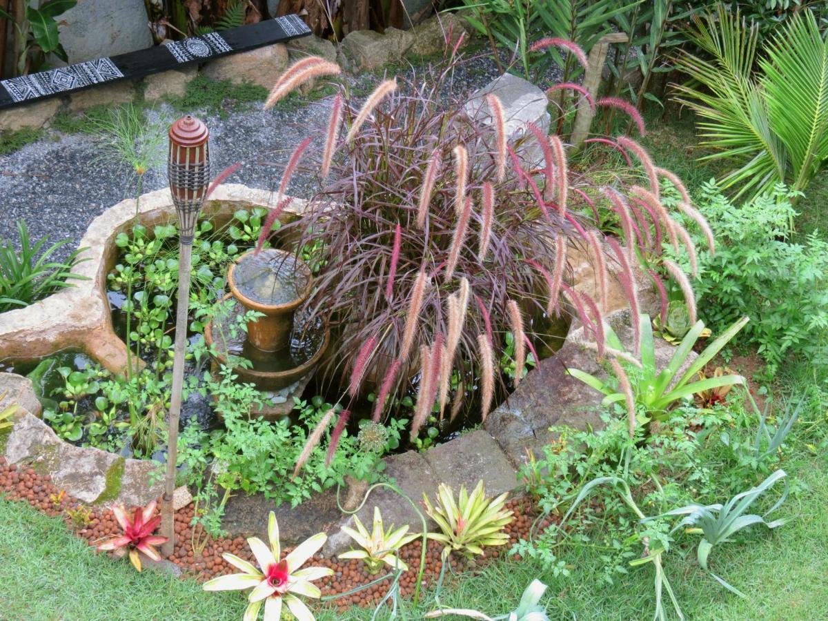 דירות Petrópolis Casa De Vidro מראה חיצוני תמונה